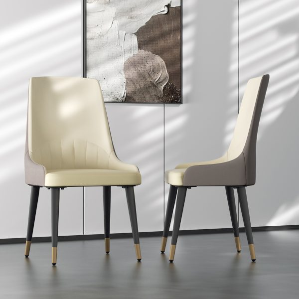 Dining Chairs Set Of 2, Cream White Luxurious Dining Room Chairs